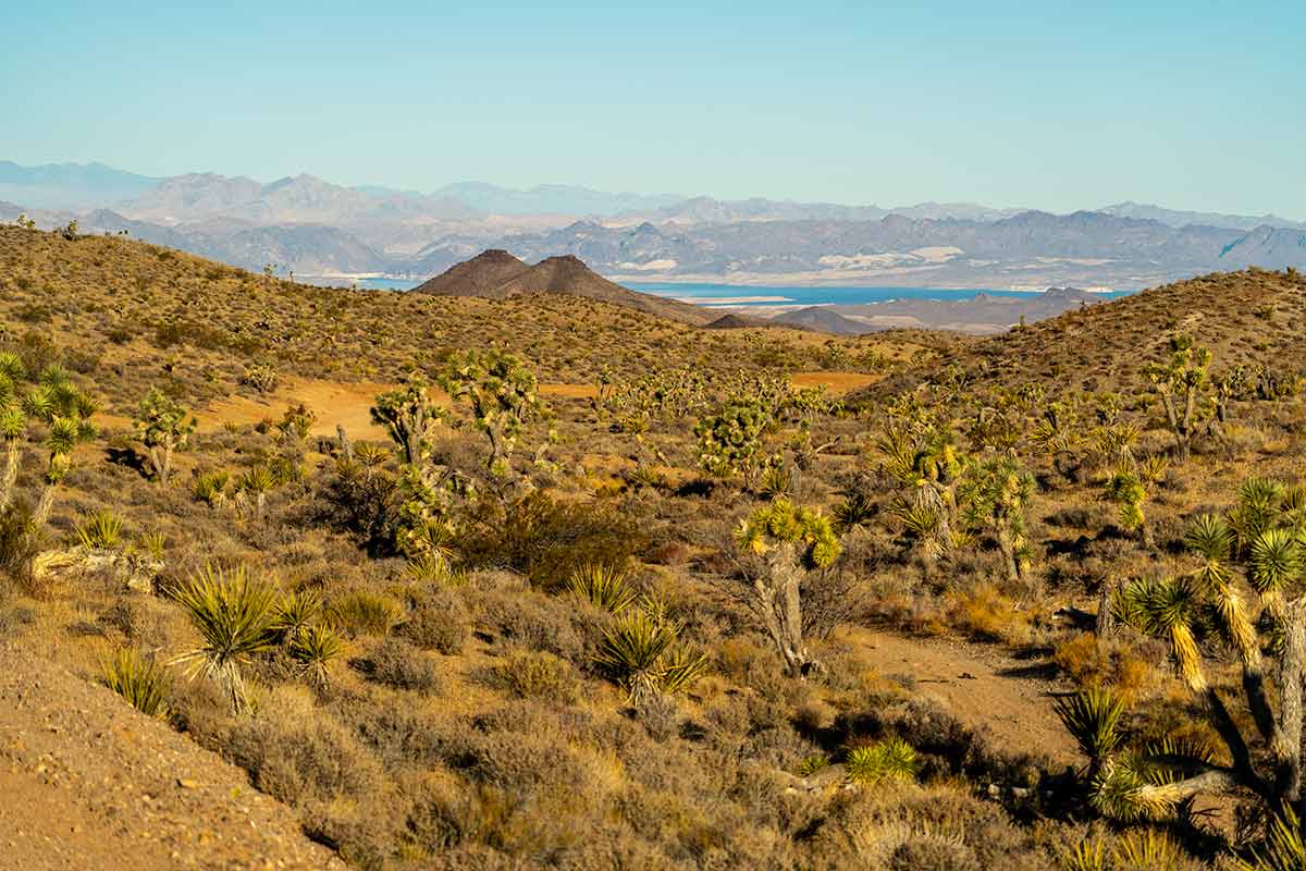Lake Mead Estates Western Land and Ranches