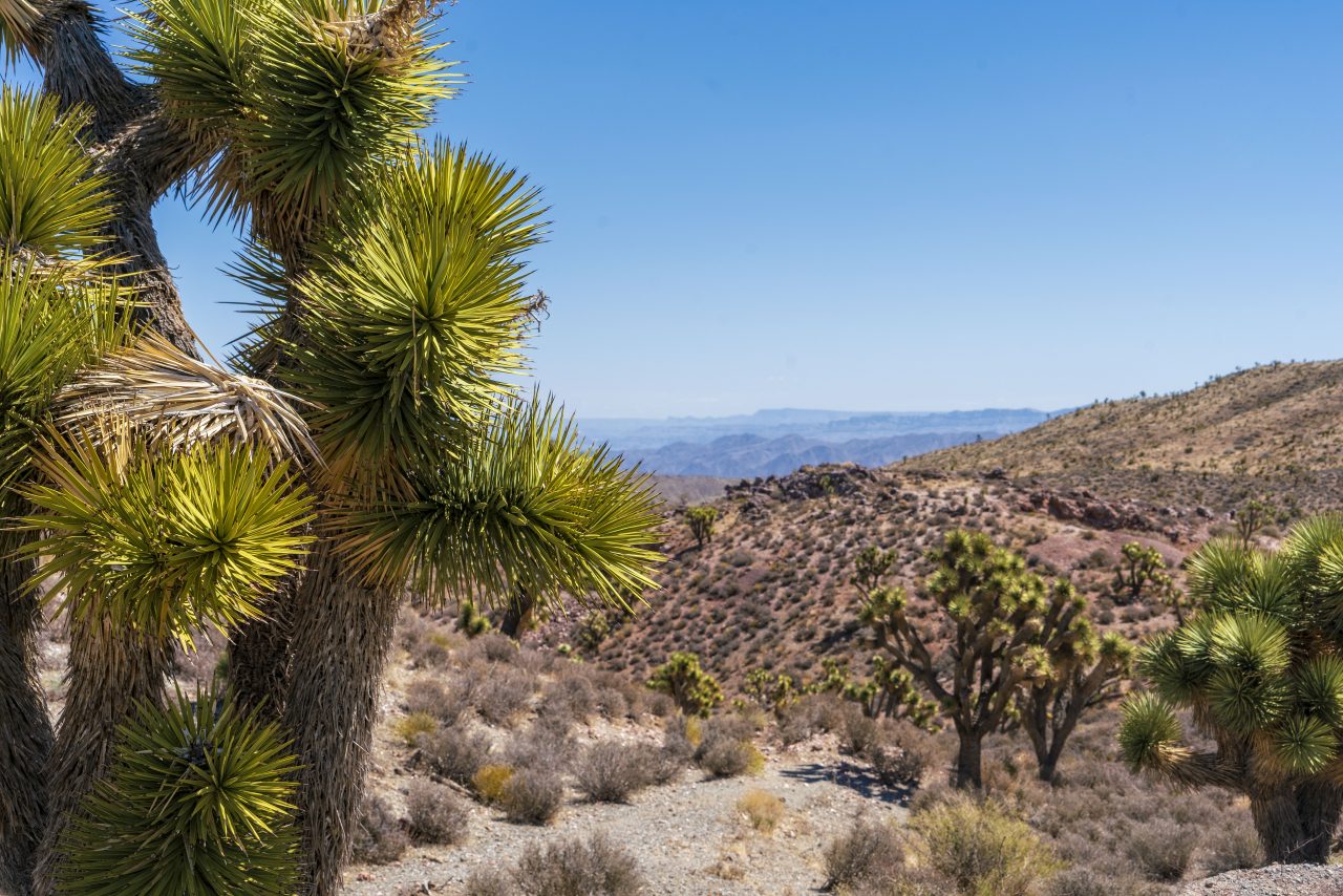 Mountain Top Ranch (800THELAND) Western Land and Ranches