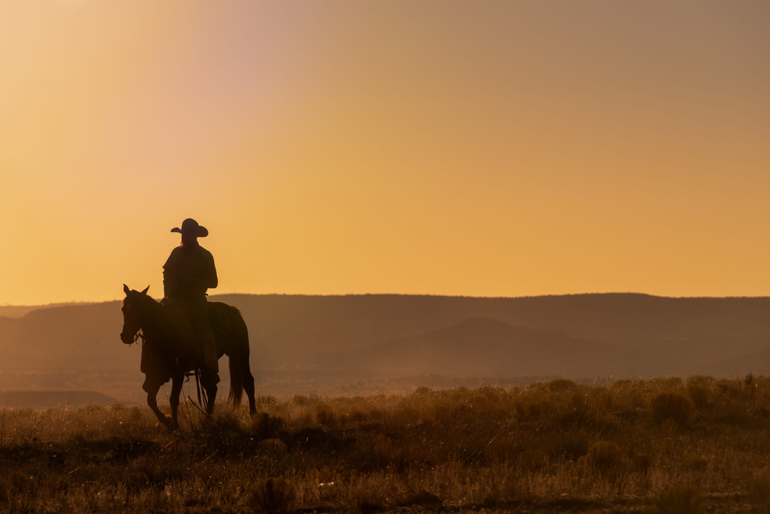 Пустыня ковбой. Ковбой в пустыне. Ковбой в пустынях. Техас пустыня Ковбои. Ковбой в пустыне фото.