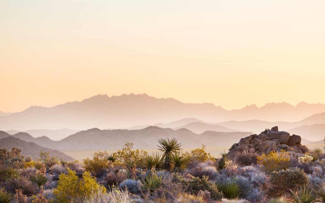 What Is Owner-Financed Land, and How Does It Work? 